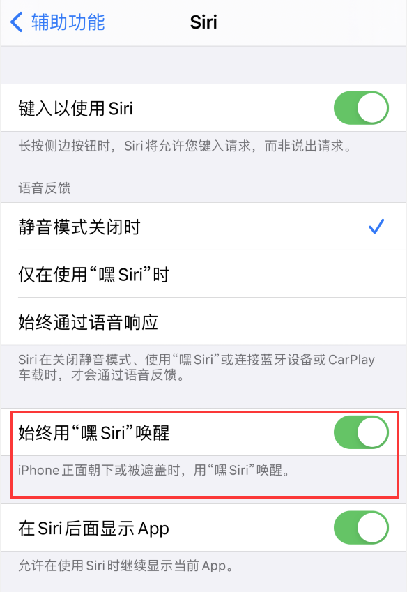 新安苹果手机维修分享使用 iPhone 12 时 Siri 不会正常回应怎么办 