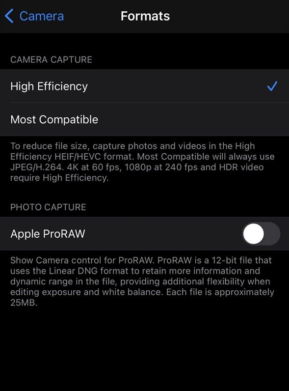 如何为 iPhone 12 Pro/Max 启用 ProRAW 照片格式?